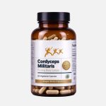 cordyceps militaris fruiting body extract