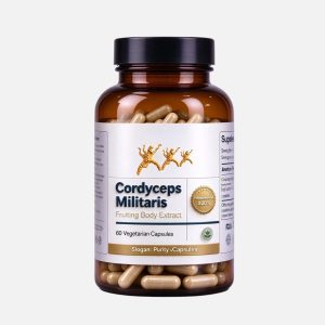 cordyceps militaris fruiting body extract